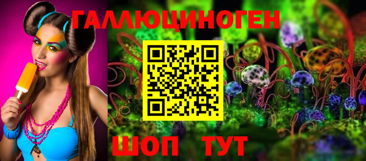 Псилоцибиновые грибы GOLDEN TEACHER Вичуга