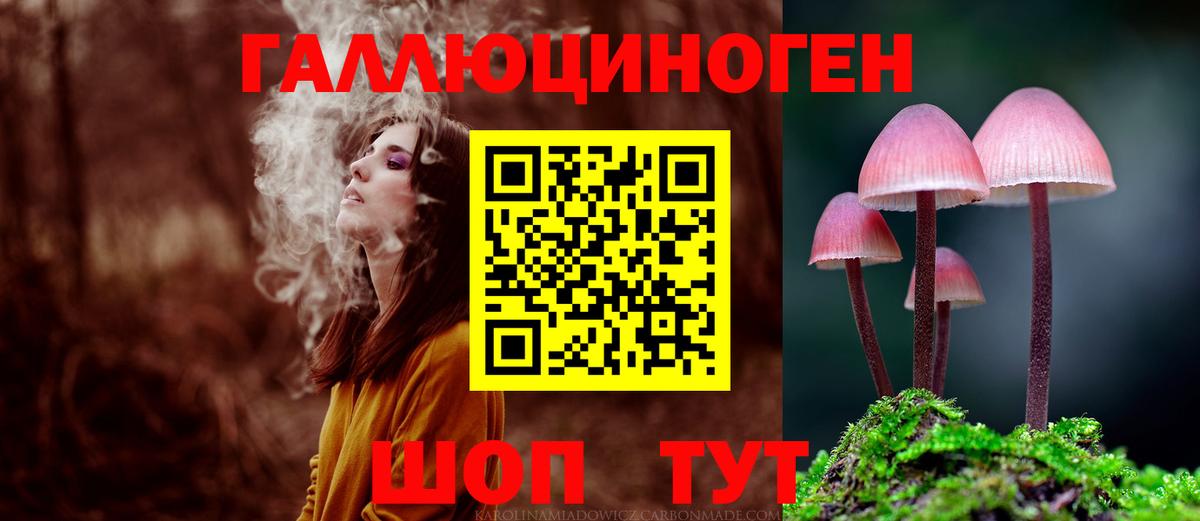 Галлюциногенные грибы прущие грибы  Вход с VPN  Вичуга 